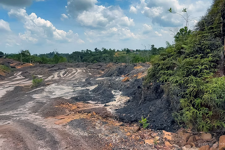 Proyek IKN Dibayang-Bayangi Kegiatan Tambang Ilegal dan Perambahan Hutan 1 otorita ikn ibu kota nusantara tambang ilegal perambahan hutan