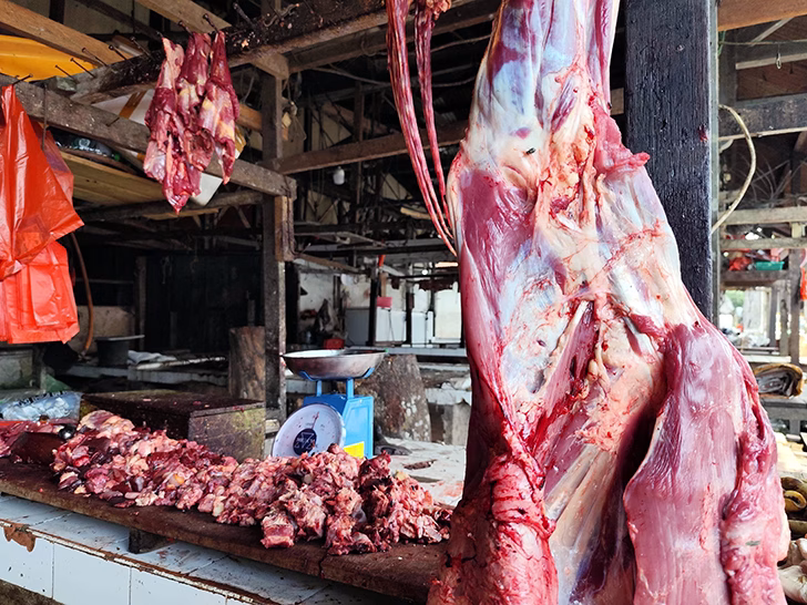 infeksi saluran kemih daging infeksi saluran kemih daging