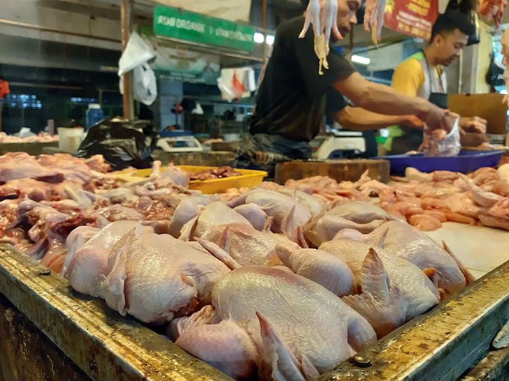 Ternyata Infeksi Saluran Kemih Bisa Datang dari Daging yang Kamu Makan 3 infeksi saluran kemih daging